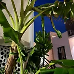 Casa * Торевьиа