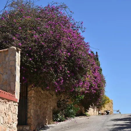 Casa *