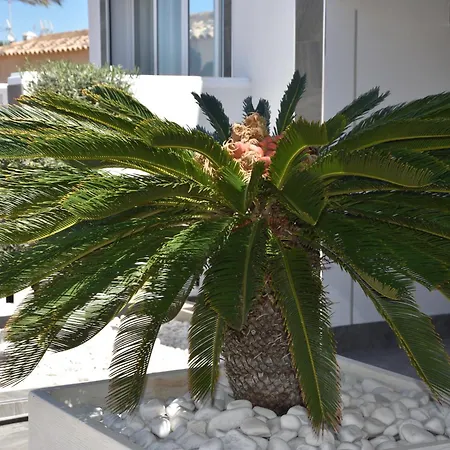 Casa شقة تورّيفيِخا