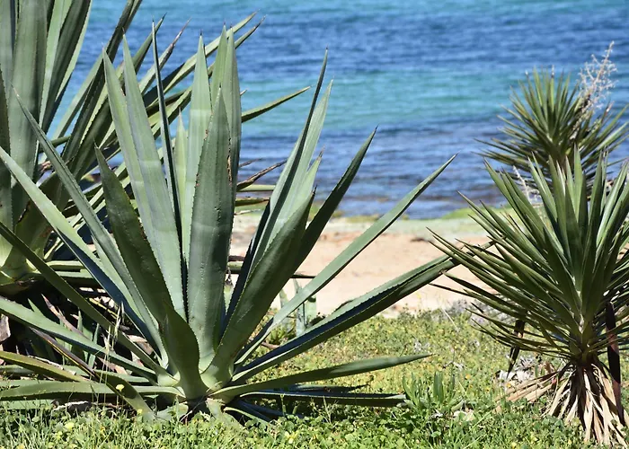 Casa * تورّيفيِخا